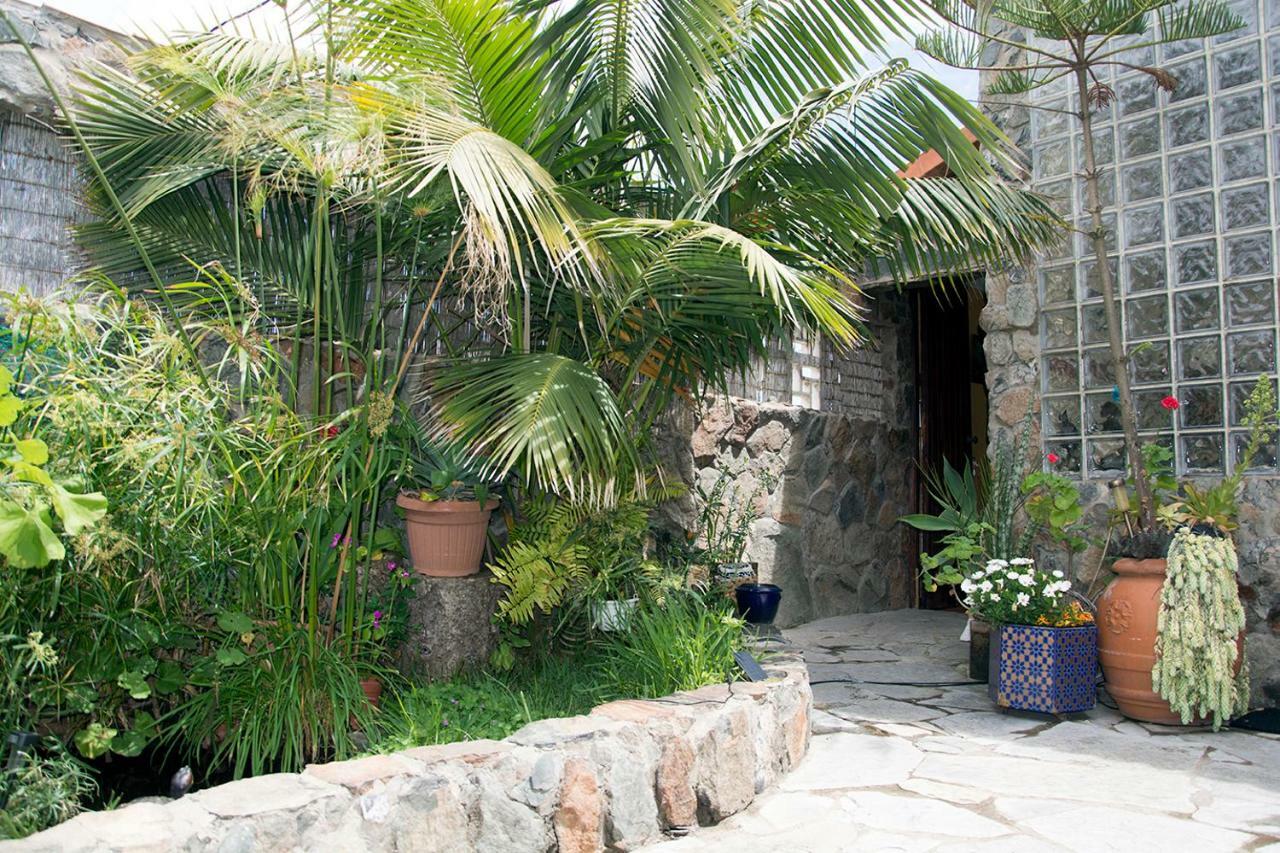 Casa El Drago-Tafira Baja Apartment Лас Палмас де Гран Канария Екстериор снимка